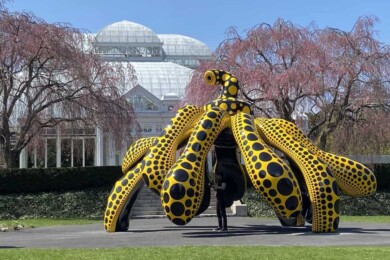 KUSAMA: Cosmic Nature