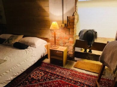 Este atractivo Airbnb en una granja del siglo XVII en Nottinghamshire ofrece la compañía nocturna de un pony Shetland en miniatura