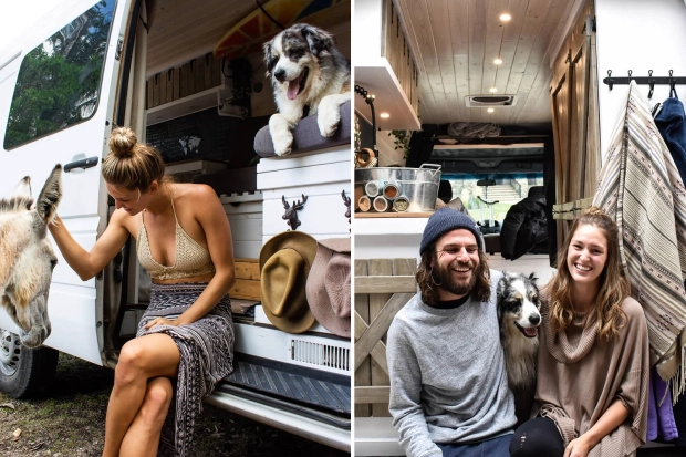 KY-COMP-INSTA-STAR-3103