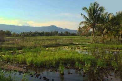 Kampot cambodia