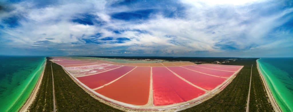 image typical dishes of Valencia Las Coloradas 2