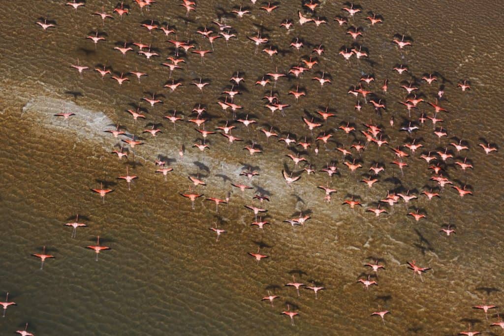 Las Coloradas