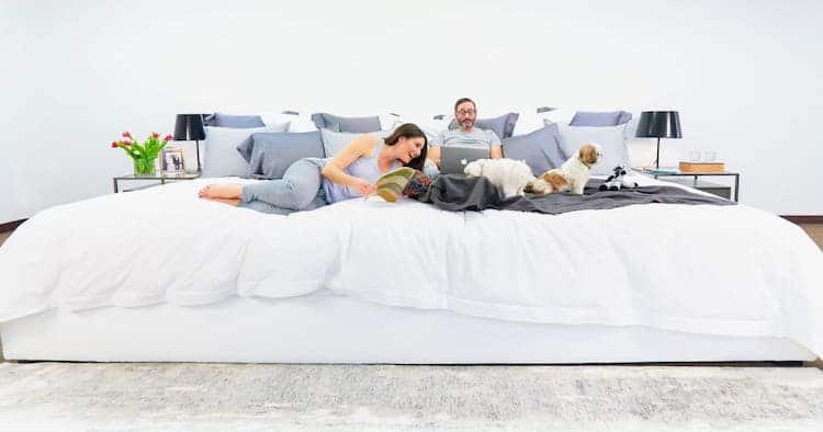 image empresa de colchones ace family bed mattress 10