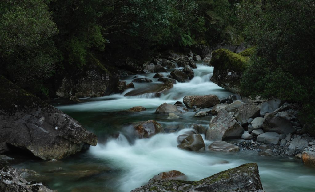 Un nuevo estudio demuestra que los sonidos de la naturaleza ayudan a aliviar  el dolor