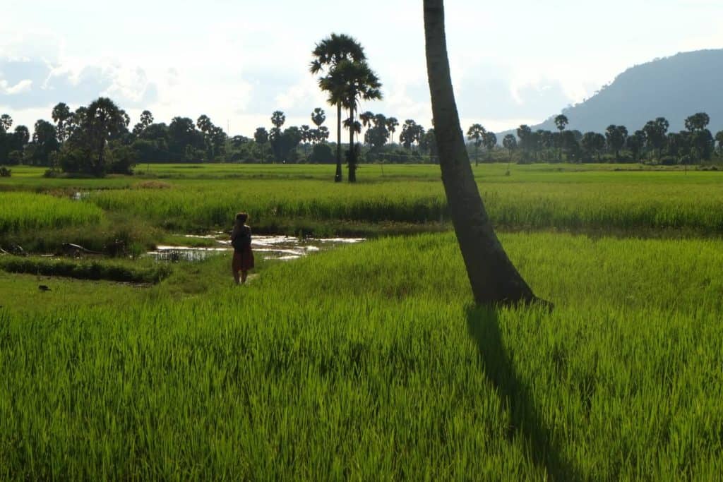 image Kampot boudewijn huysmans yu9TA2Mk3Pw unsplash 1