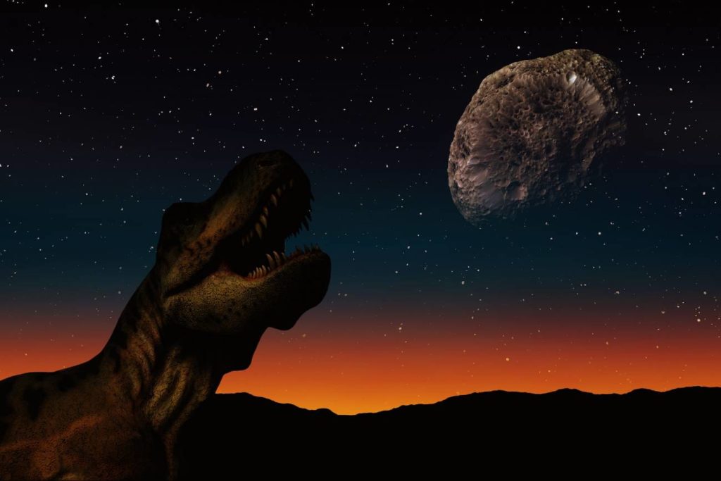 Un nuevo estudio sugiere que el asteroide que causó la extinción de los dinosaurios dio inicio a las selvas tropicales como las conocemos hoy en día