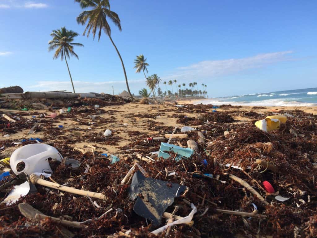 Un estudio revela que solo el 3% de los ecosistemas del planeta Tierra no han sido intervenidos por la actividad de las personas