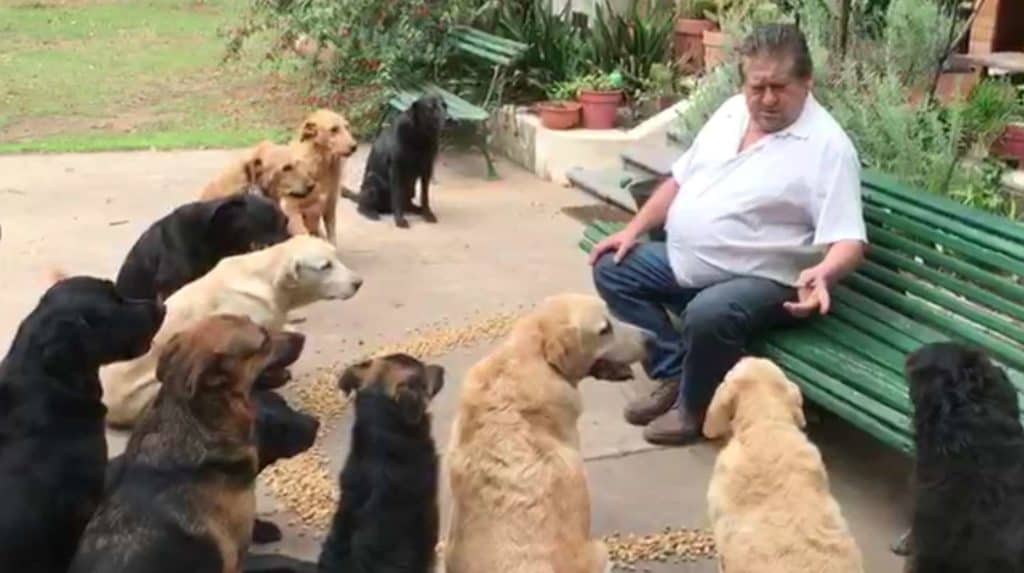 Conoce la historia de Polo, el adiestrador de perros en Roque Pérez (provincia de Buenos Aires, Argentina) que reza junto a sus animales antes de comer