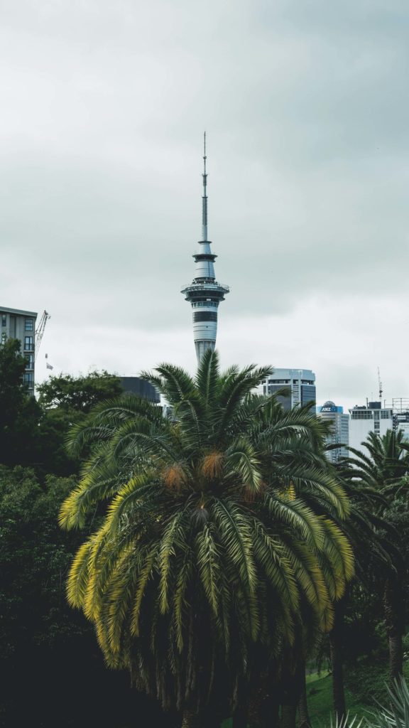 image 48 horas en Auckland lean xview DDsdXHUIRZw unsplash 1