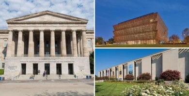 Estados Unidos: 7 museos smithsonianos y el Zoológico Nacional volverán a abrir sus puertas al público a partir de Mayo