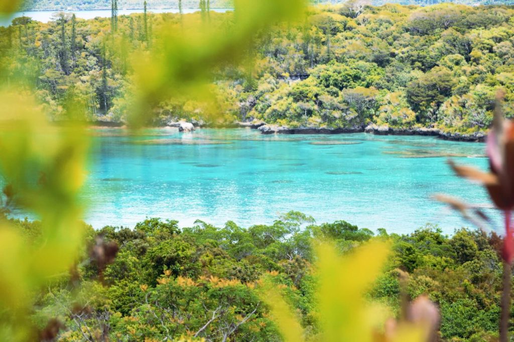 image islas que visitar en Nueva Caledonia nick sarvari 9iNGPgZnszw unsplash 1