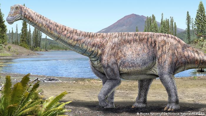 image dinosaurio descubierto en el desierto de Atacama nuevo dinosaurio chile