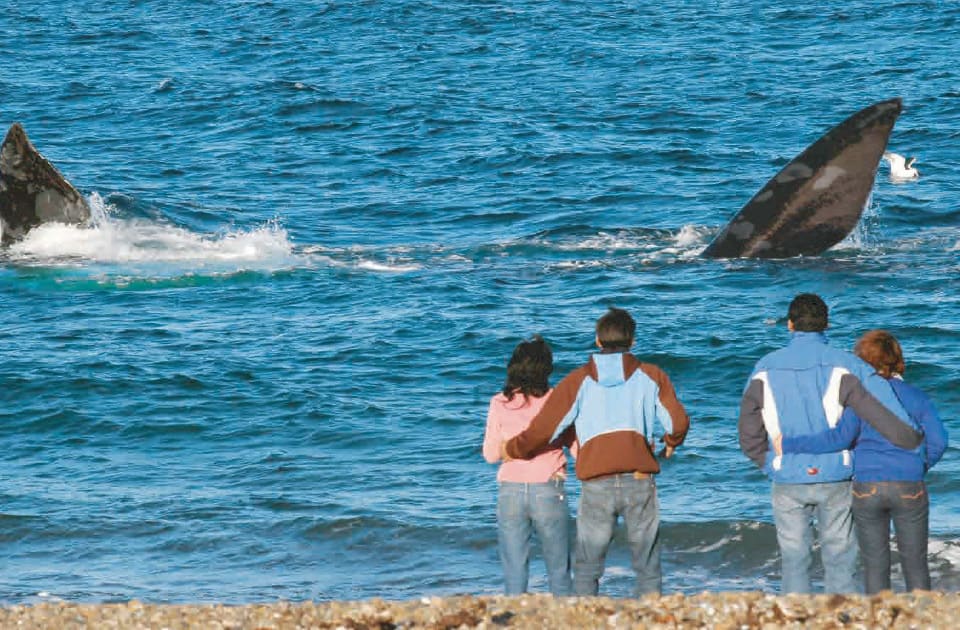 image camping playa el doradillo argentinavision