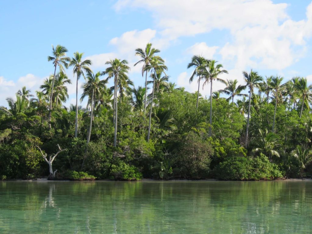 image islas que visitar en Nueva Caledonia quentin fahrner J82LrQv37k0 unsplash 1