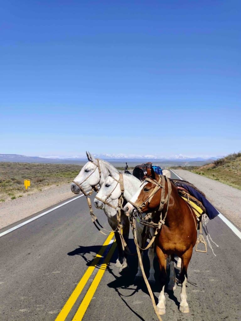 La pandemia lo empujó a cumplir el sueño de recorrer Argentina a caballo: una historia a rienda suelta en pleno confinamiento