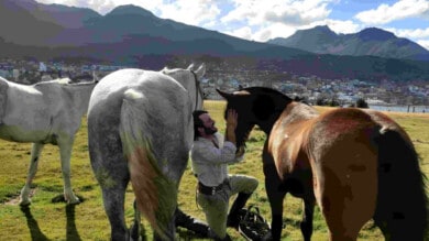 recorrer-Argentina-a-caballo-historia-viajero