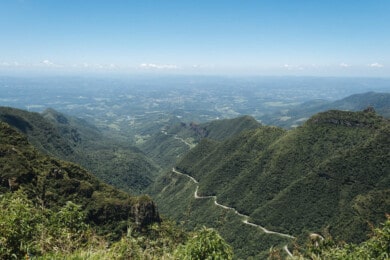 reforestación-sudamérica-proyecto-brasil