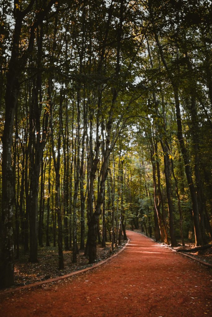 image alrededores de Estambul tolga ahmetler hbiciAPUuEs unsplash 1