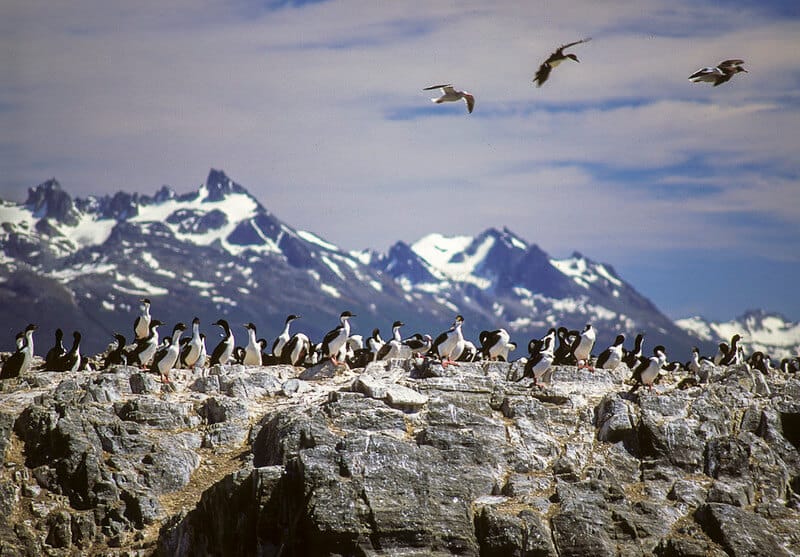 qué-hacer-en-Tierra-del-Fuego