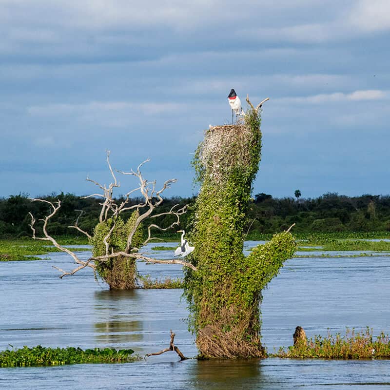 cómo-llegar-al-bañado-La-Estrella