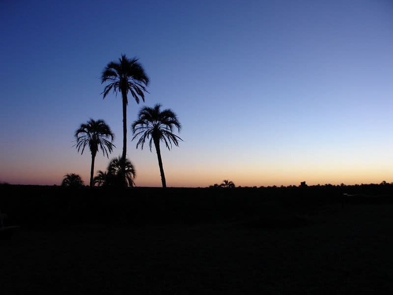 cómo-llegar-al-Parque-Nacional-El-Palmar