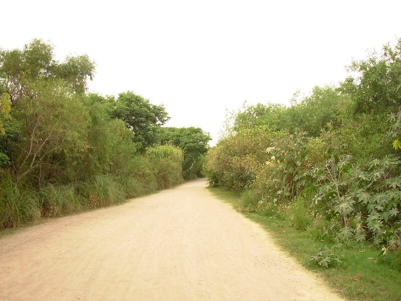 cómo-llegar-a-la-reserva-ecológica-de-Buenos-Aires