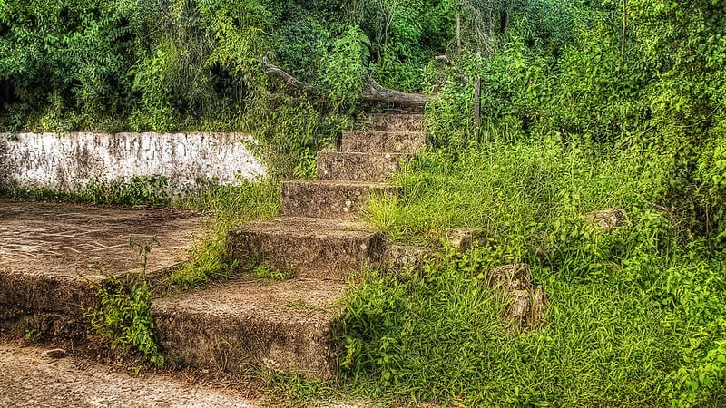 cómo-llegar-al-Parque-Nacional-El-Palmar