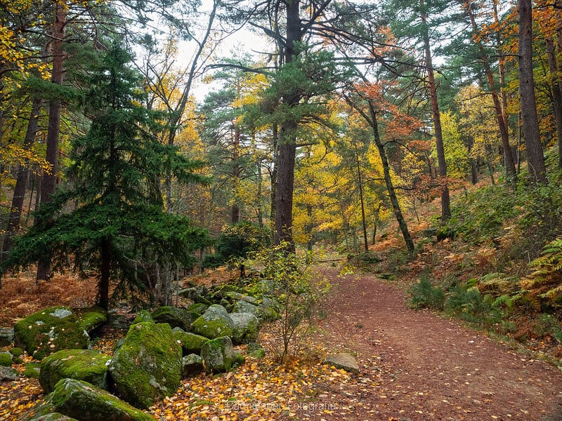 qué-hacer-en-los-alrededores-de-Madrid