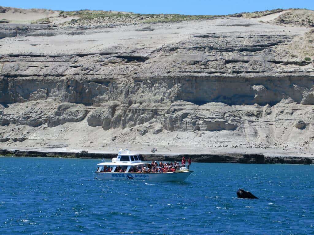 cuando-ver-ballenas-en-Puerto-Madryn