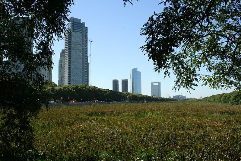 cómo-llegar-a-la-reserva-ecológica-de-Buenos-Aires