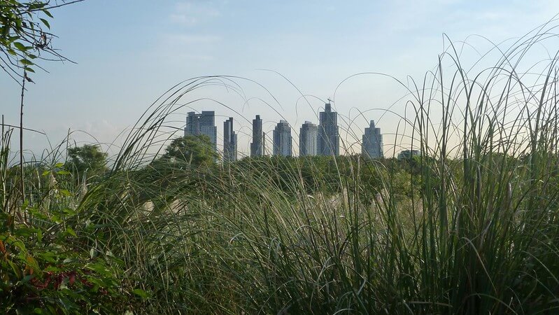 cómo-llegar-a-la-reserva-ecológica-de-Buenos-Aires