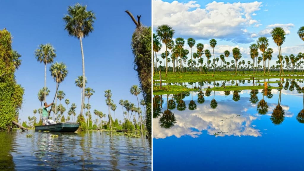 The Churchill Arms Viajes image The Churchill Arms Como llegar al Banado La Estrella maravillas naturales de Argentina