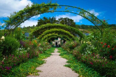 Los Jardines de Monet, en Francia, vuelven a abrir sus puertas al público