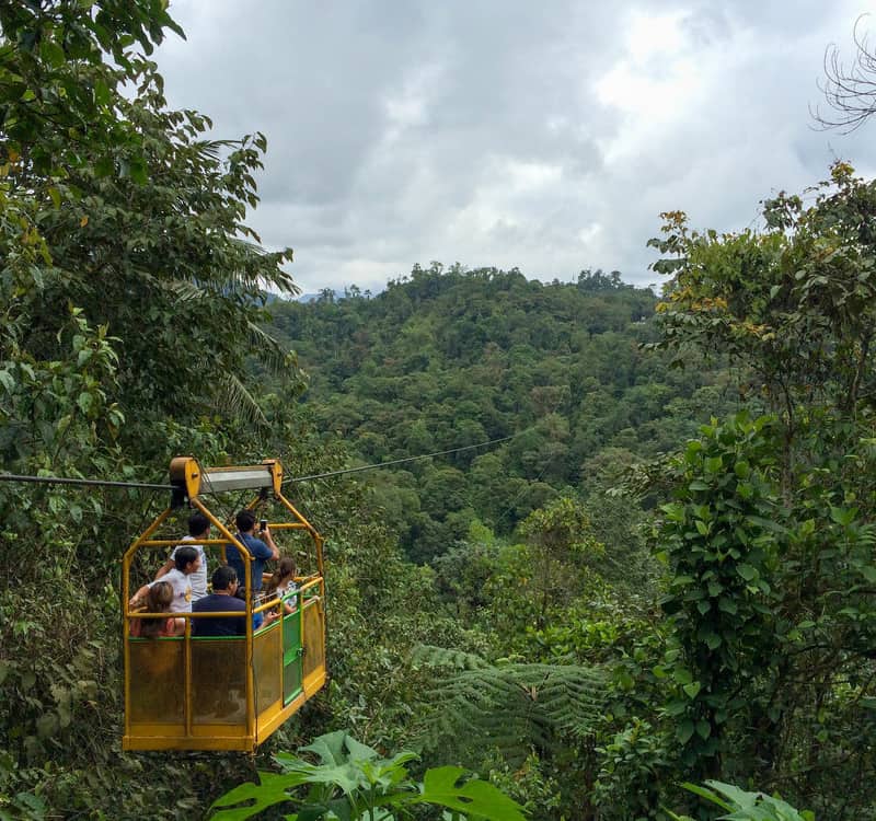 Ubicado en la región andina, Mindo es considerada como la capital mundial para observar aves.