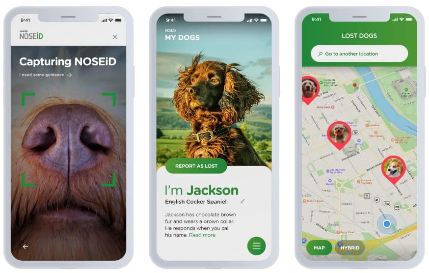 image identificar perros perdidos Noseid app encontrar perros perdidos 1