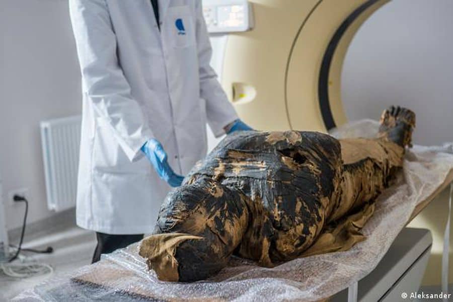momia egipcia embarazada