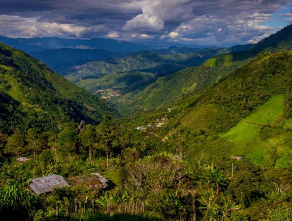 Perú crea el Área de Conservación Regional Páramos y Bosques Montanos de Jaén y Tabaconas para conservar ecosistemas de montaña en Cajamarca 