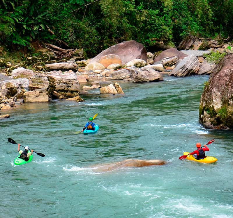 Tena tiene como principal actividad el turismo ya que cuenta con una diversidad de atractivos naturales y culturales.