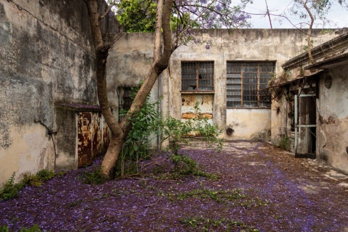 La casa de María Elena Walsh se convertirá en un espacio cultural abierto a la comunidad