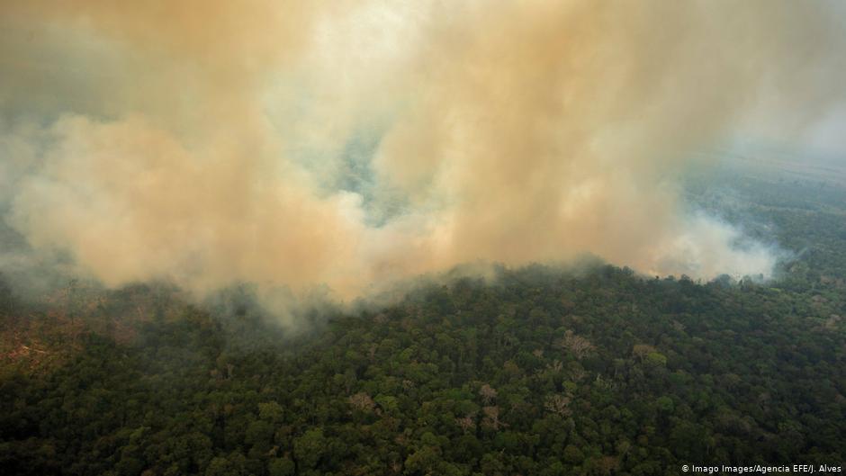 Por segundo mes consecutivo aumenta la deforestación de la selva amazónica