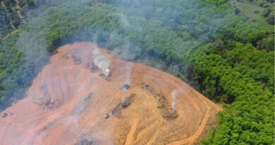 Por segundo mes consecutivo aumenta la deforestación de la selva amazónica