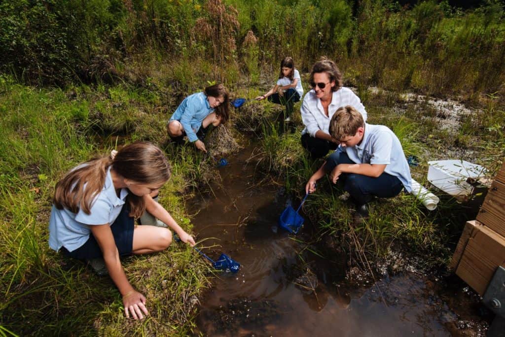 image medio ambiente educacion ambiental argentina