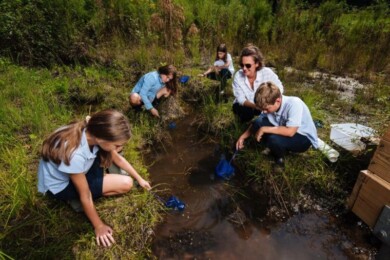 educacion ambiental argentina