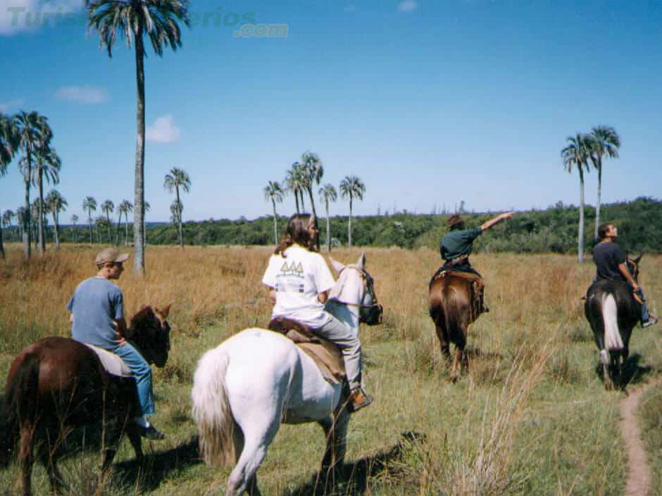 cómo-llegar-al-Parque-Nacional-El-Palmar