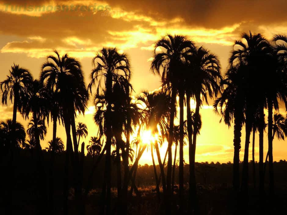 cómo-llegar-al-Parque-Nacional-El-Palmar