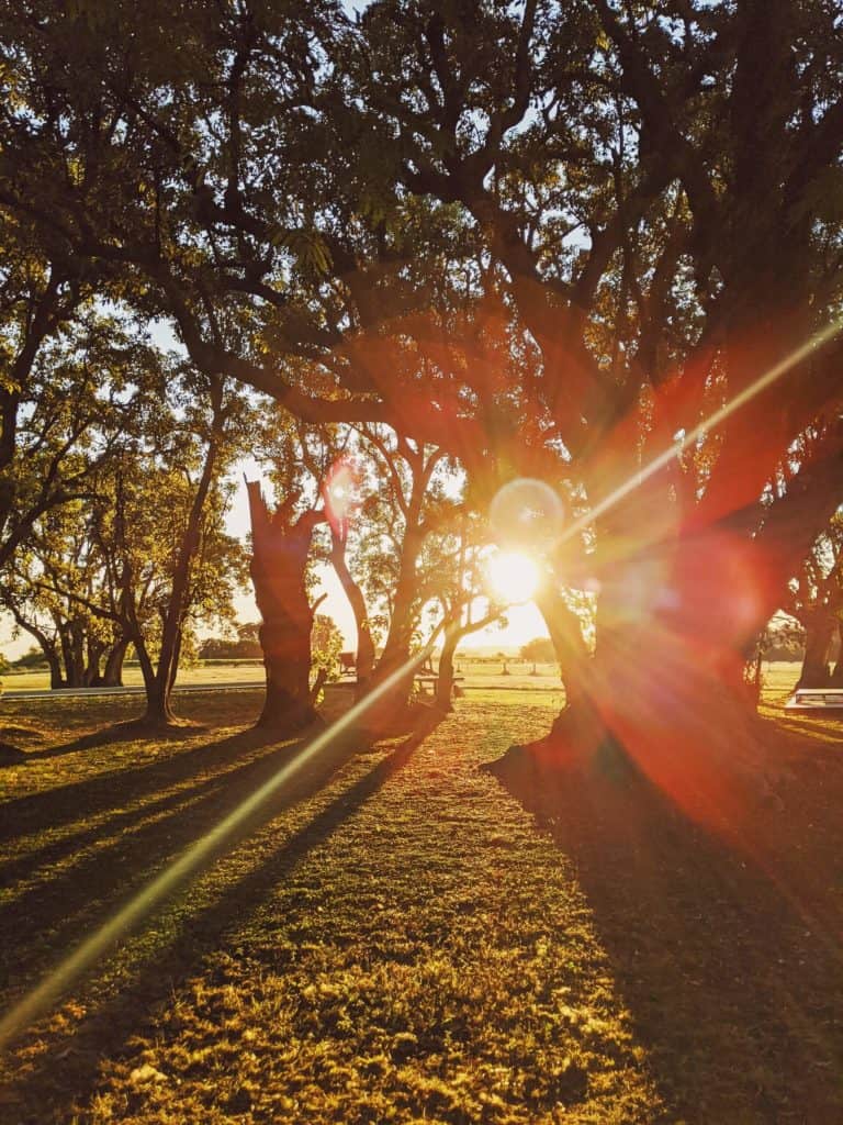 image qué hacer en San Andrés de Giles fermin rodriguez penelas YqA YKrdrQ unsplash 1