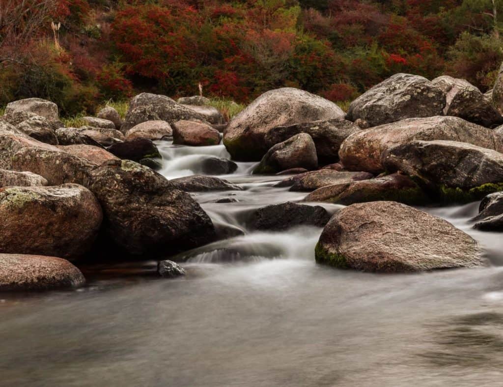 image cervecerías en Villa General Belgrano nicolas ruiz dS5yl2Rpxpc unsplash 1