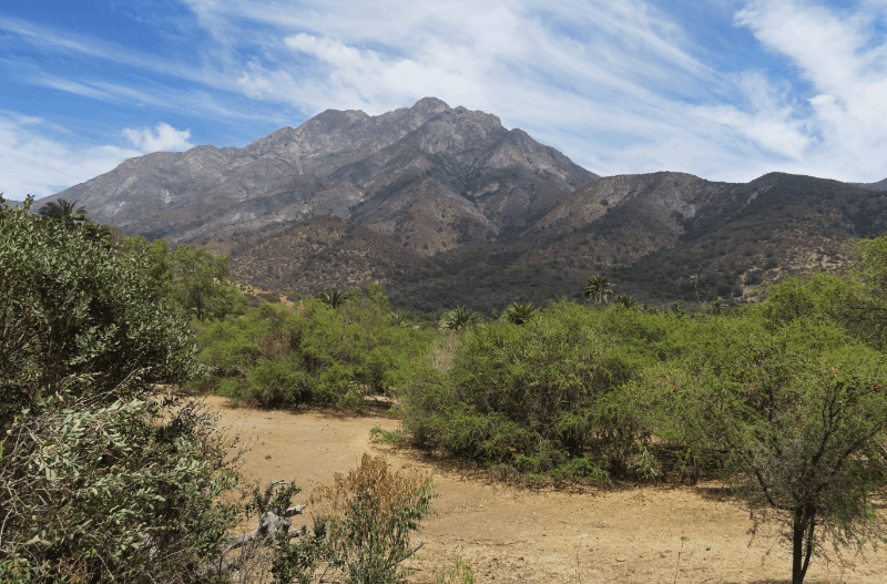 Glamping en Chile | El Parque Nacional La Campana es un pulmón verde y parte de la zona fue declarada por la UNESCO como Reserva de la Biósfera. Foto de neil bowman