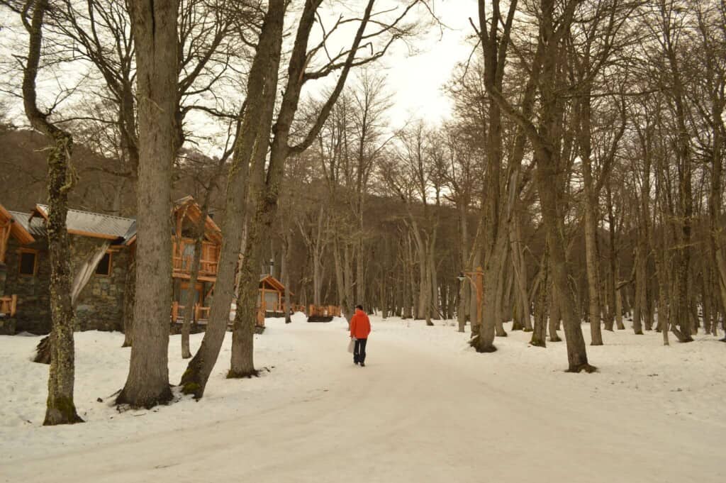 Hoteles Pet Friendly en Buenos Aires Viajes visitar-ushuaia-en-invierno