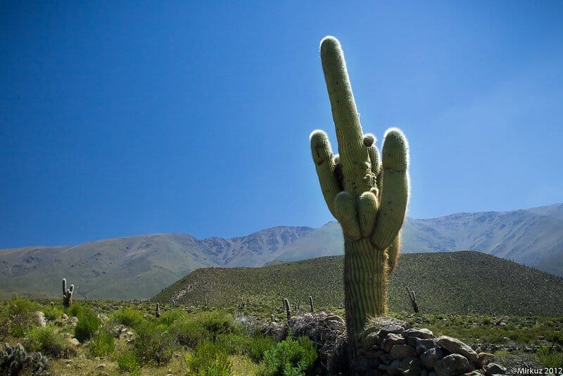 Cómo llegar a Tafí del Valle desde San Miguel de Tucumán